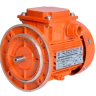 Электродвигатель 5А50МВ4 (90 Вт / 1380 об/мин.)